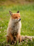 kc82VDrONXCbf58-Huap1drmhJj0l2-dswOkroXc7BTrMfWBirjpSepdGJDqA91KqyU9ltkD1hm7UU7oULdzpUC23WNxqQ